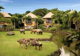 Bali Safari Park Tour Guide: Location, Review, Ticket Price & Facilities