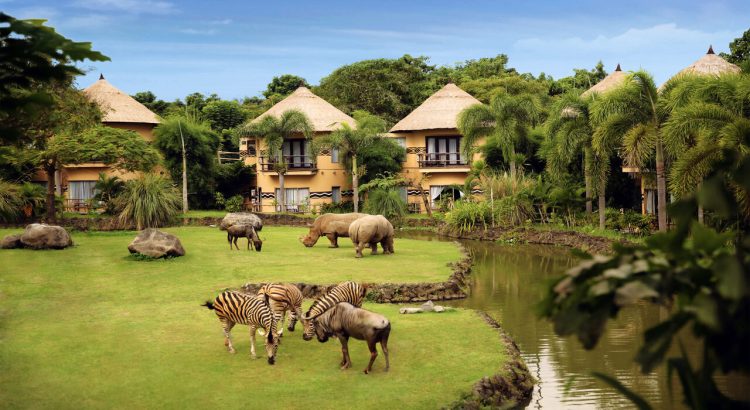 Bali Safari Park Tour Guide: Location, Review, Ticket Price & Facilities