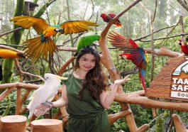 Best Outdoor Playgrounds Puncak Jakarta, Fun Rides for Kids Adventures
