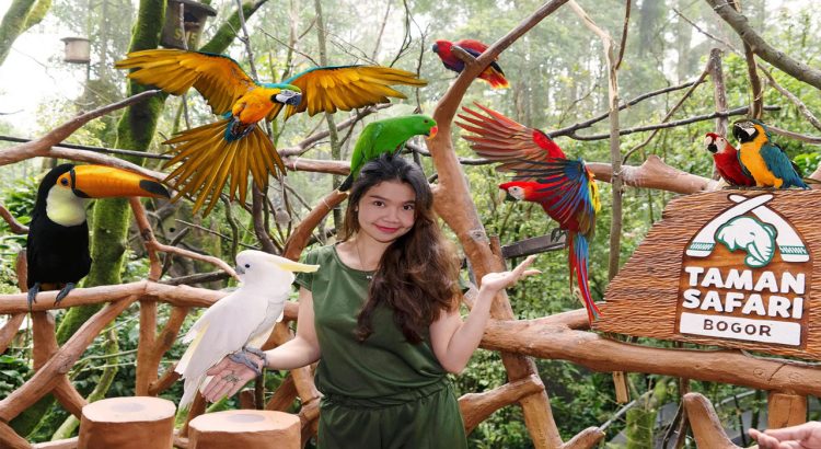 Best Outdoor Playgrounds Puncak Jakarta, Fun Rides for Kids Adventures