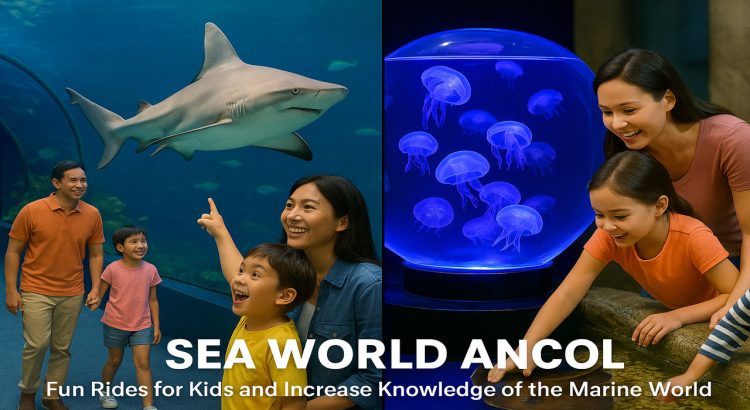 Sea World Ancol Attractions: Fun Rides for Kids and Increase Knowledge of the Marine World