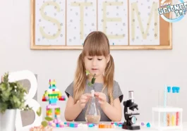 STEM Toys