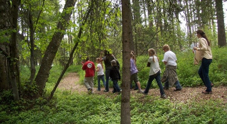 outdoors play adventures