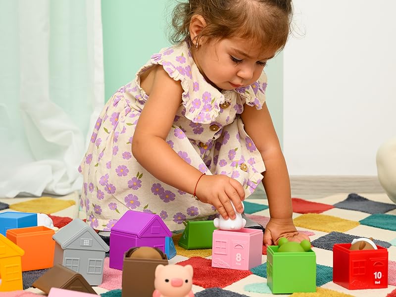 Learning Toys