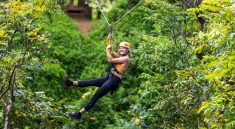 kid-friendly zipline