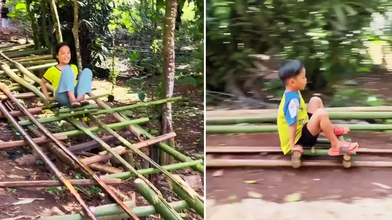 Bamboo Roller Coaster
